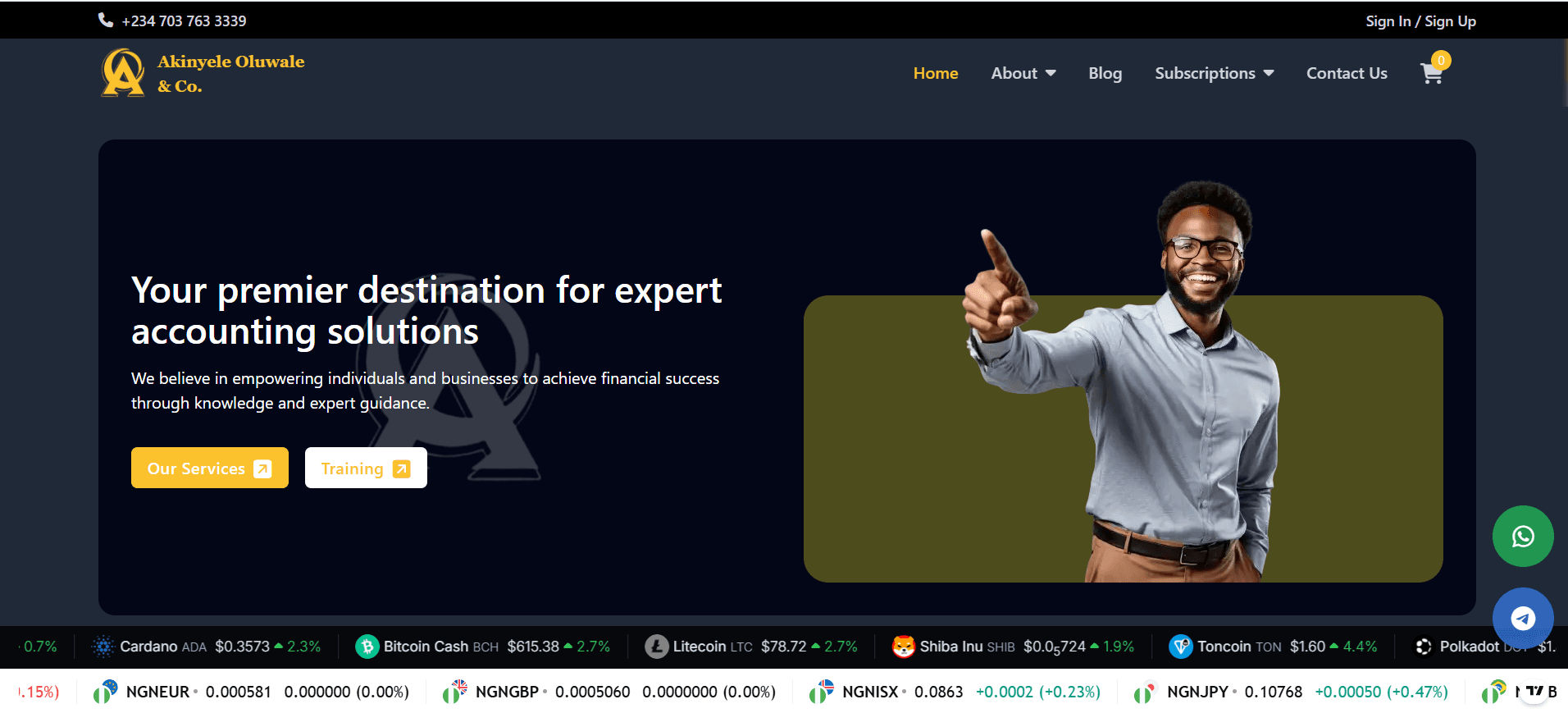 Akinyele Oluwale & Co - Finance & Accounting Website